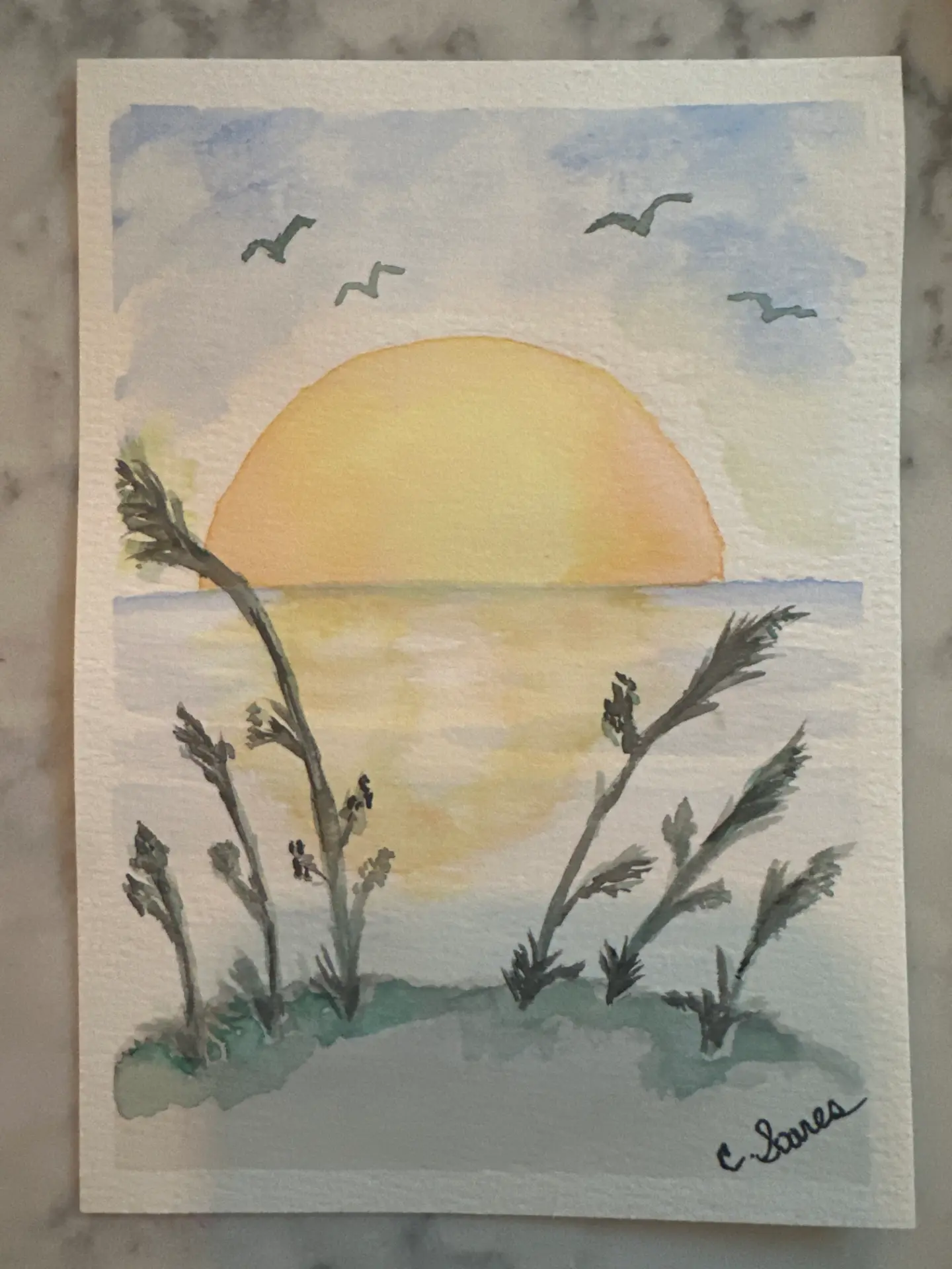 Student watercolour sunset seascape with gulls and grasses