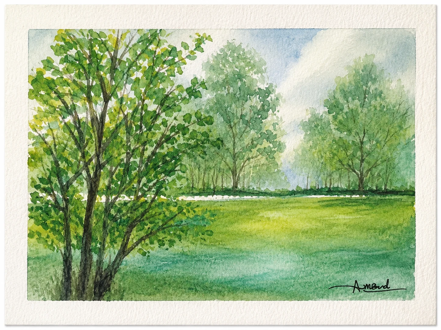 Summer Trees — original watercolour painting by Anne-Marie Bond