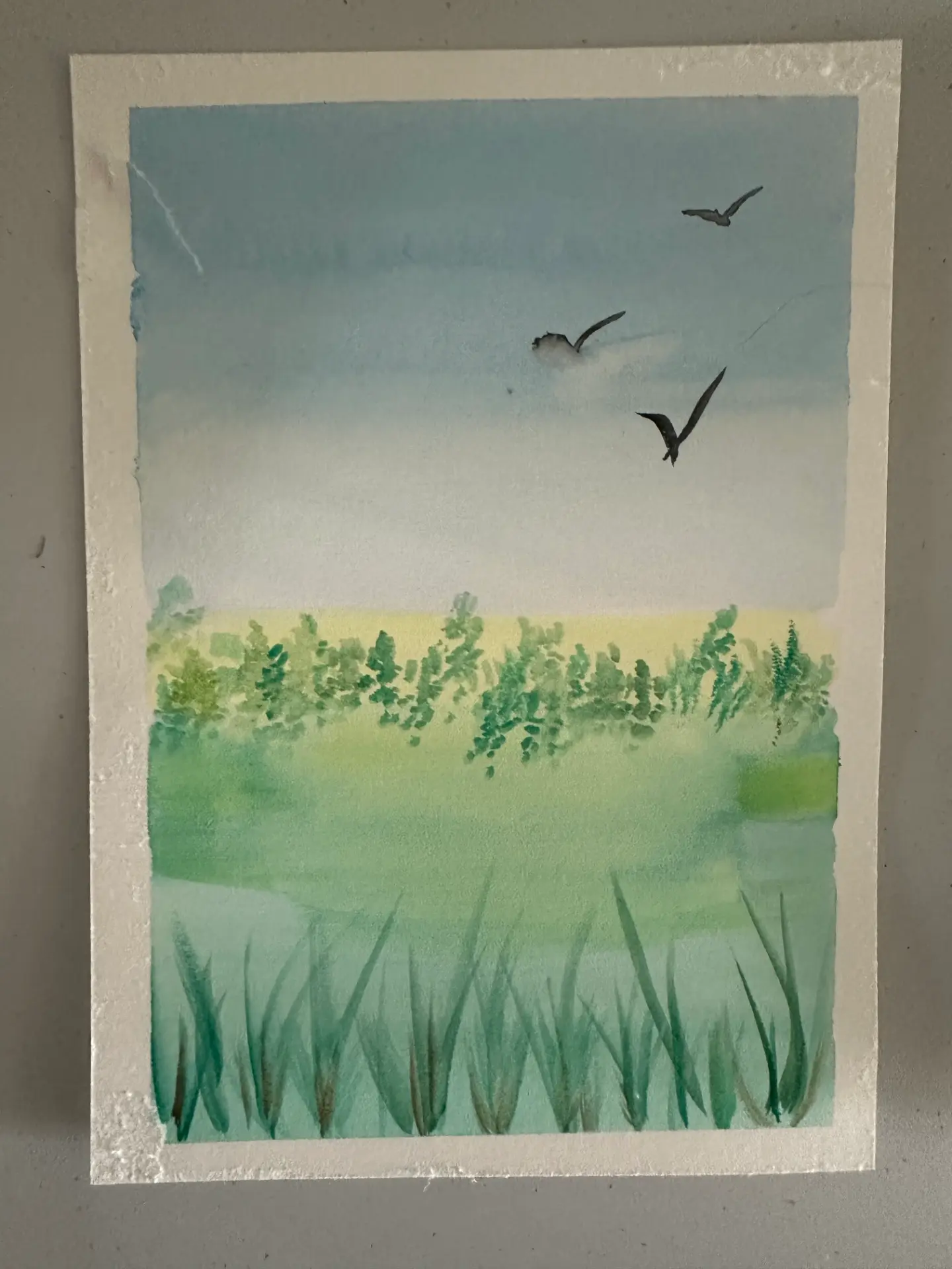 Student watercolour meadow with grasses, hedgerow and three birds